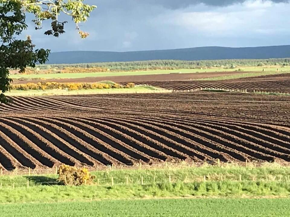 Broomlea Ardersier Eksteriør bilde